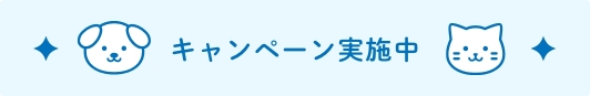 キャンペーン実施中